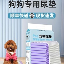 狗狗尿垫加厚除臭吸水隔尿垫幼犬诱导引导定点排便上厕所尿垫