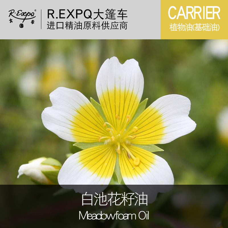 白池花籽油 美国原料批发 spa按摩基底油身体按摩油 活动详询客服