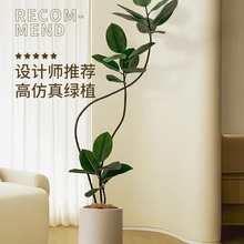 绿植橡皮树客厅大盆栽室内仿生假植物轻奢绿植落地摆件