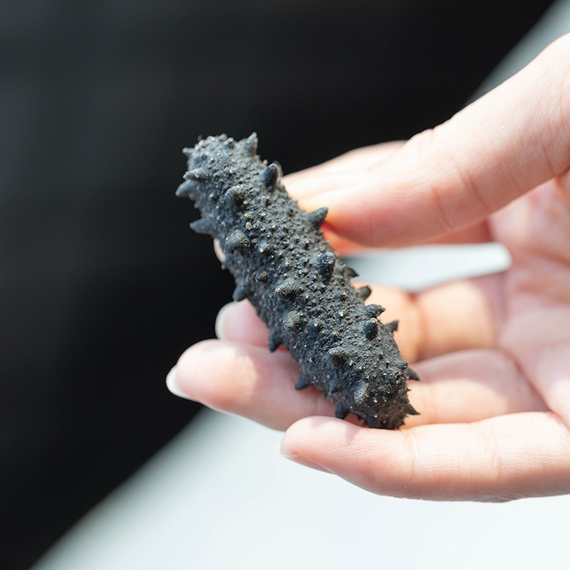 野生大连辽刺参淡干海参海参干货刺参大连海参批发海参批发-阿里巴巴