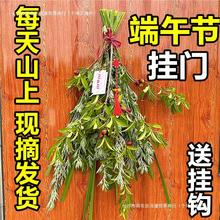 端午节艾草门挂新鲜采摘菖蒲挂大门装饰挂件挂饰驱蚊整颗野生