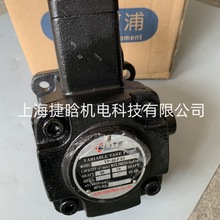 爱力特ELITE油泵泵头VP-40-FA3 VP-30-FA3 液压系统变量叶片泵