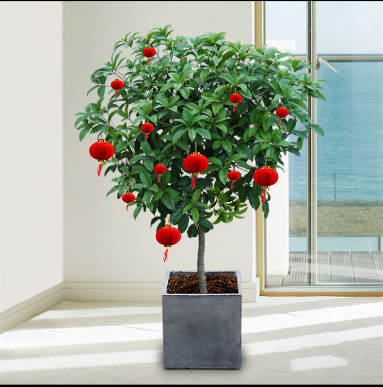 红灯笼结婚植绒小灯笼挂饰树上婚庆挂件盆景室内户外乔迁装饰布置