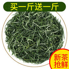 【大份量】毛尖茶叶新茶叶浓香型绿茶散装袋装茶叶批发高山茶