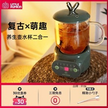 适用养生杯电炖壶办公室小型玻璃mini煮茶全自动迷你家用多功能