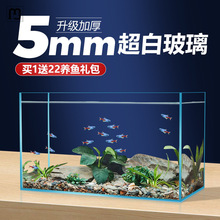 纳纶超白鱼缸2024客厅小型玻璃桌面生态溪流造景斗鱼金鱼缸乌龟缸
