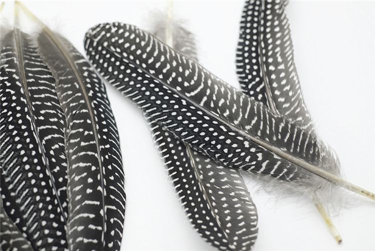 厂家批发珍珠窝翎刀翎珍珠鸡毛 胸花服饰毽子逗猫羽毛diy饰品辅料