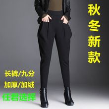 裤子女秋冬新款哈伦裤女高腰加绒休闲裤老爹裤萝卜小脚裤长裤