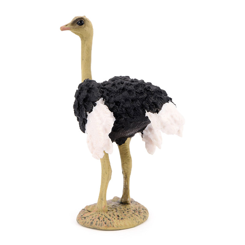 仿真动物模型静态实心飞禽鸟类动物玩具鸵鸟鸸鹋儿童认知摆件手办