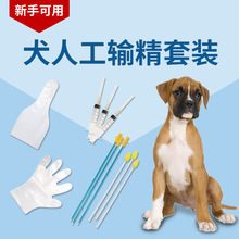 犬用一次性输精套装犬人工授精配种用套装海绵头输精管