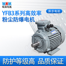 皖南电机厂家直供YFB3高效率粉尘防爆三相异步电动机三级能效11kw