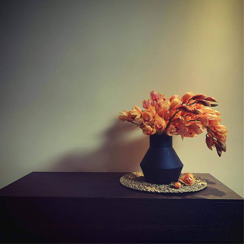 大花蕙兰鲜切花精品花材办公室家庭瓶插花艺婚庆节日比赛装饰