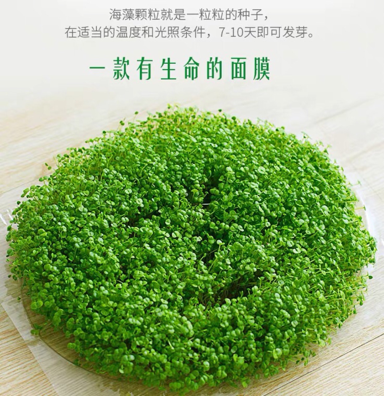 海藻面膜小颗粒海藻面膜补水保湿美容院瓶装散颗粒袋装片装批发