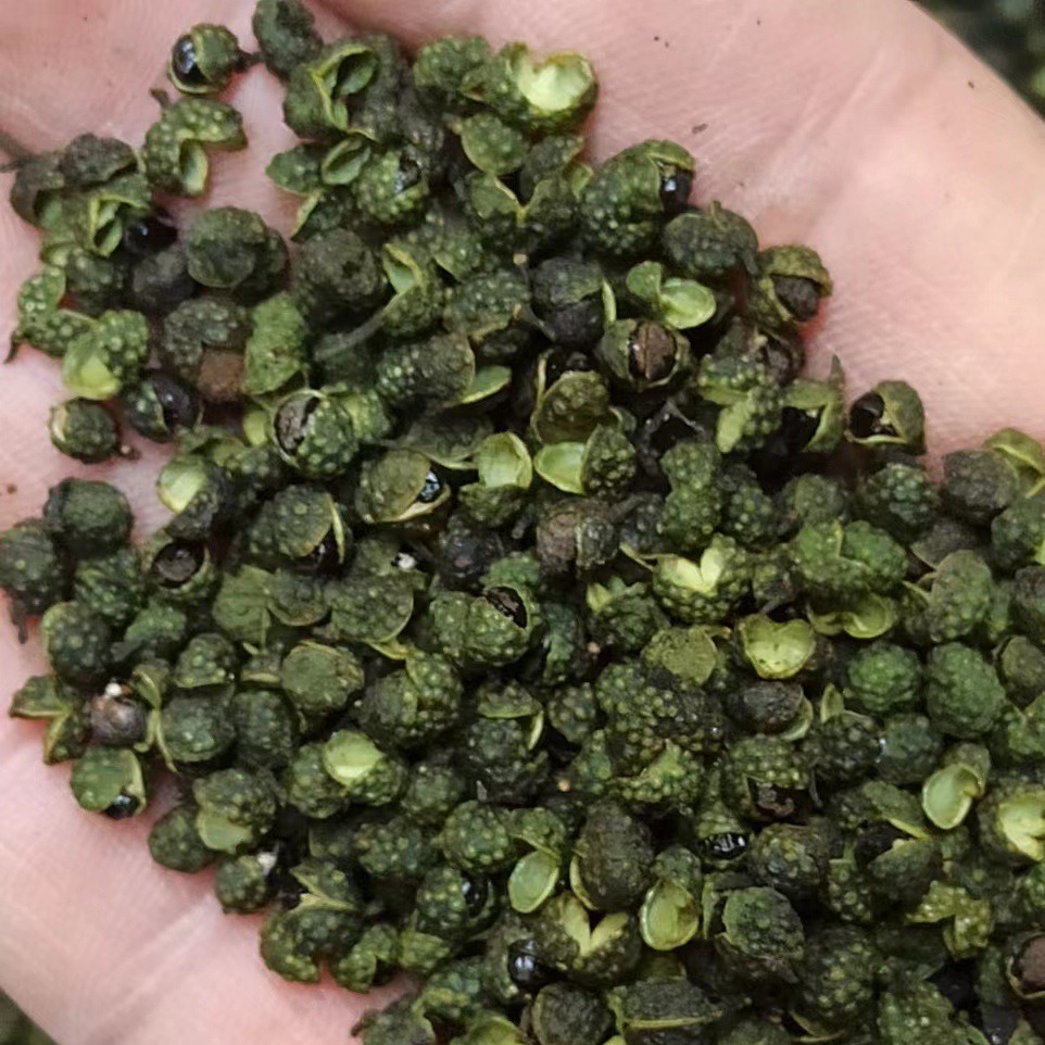 四川特产青花椒包邮特级绿麻椒重庆江津新鲜干藤椒水煮鱼片小龙虾