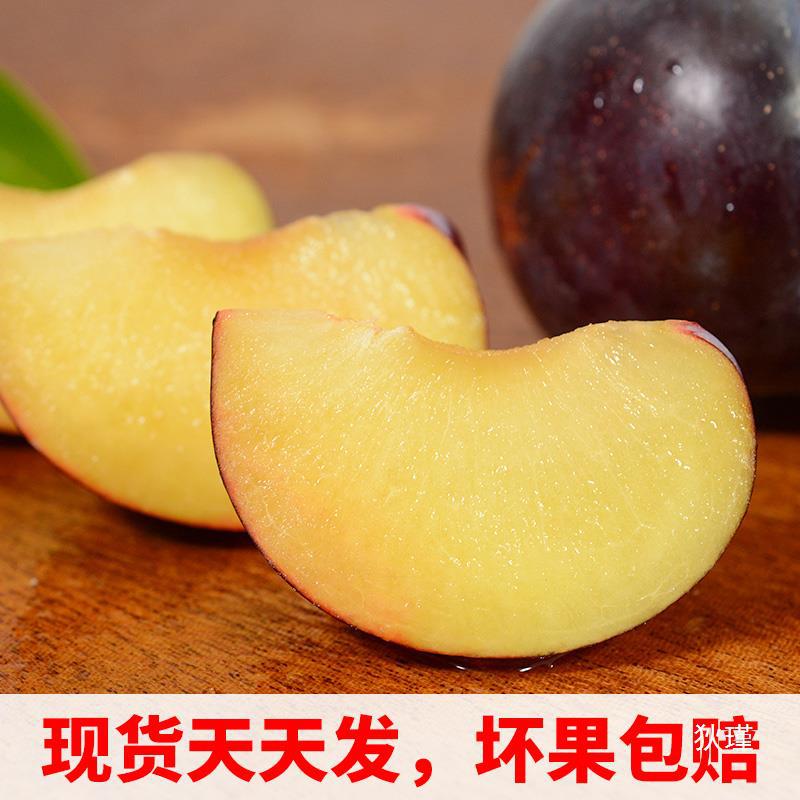 顺丰礼盒5斤 智利进口黑布林李子新鲜水果当季孕妇黄肉恐龙蛋李子