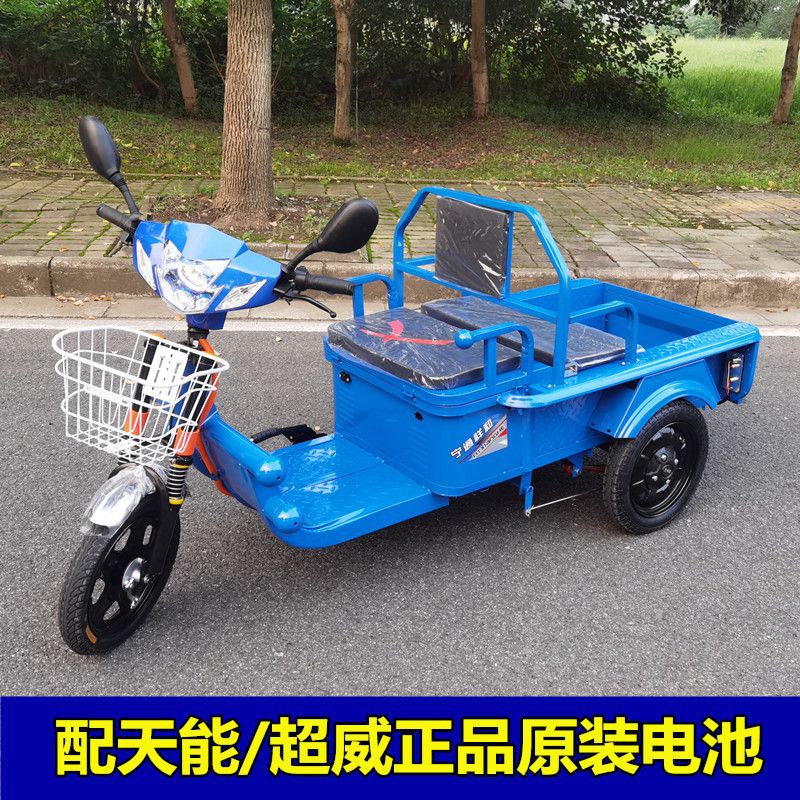 电动三轮车拉货车新款家用电瓶车成人代步小型摆地摊平板车接送孩