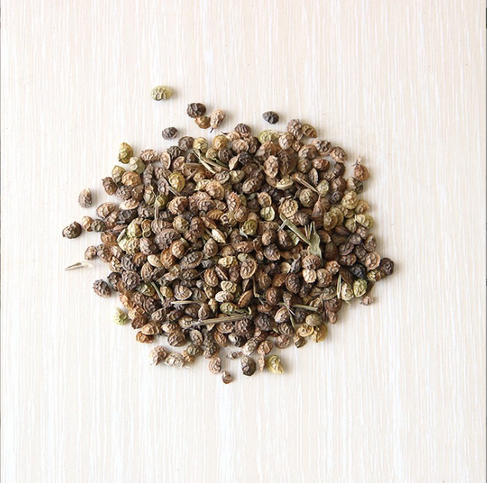 批发红豆草种子 牧草观赏护坡均可红豆草种子