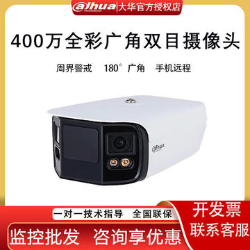 大华双镜头摄像机全景摄像头户外室外远程大范围广角800万pfw4849