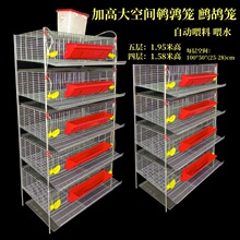 加高鹌鹑笼 可自动清粪立体式鹌鹑笼 加高鹧鸪笼 小型鸟类养殖笼