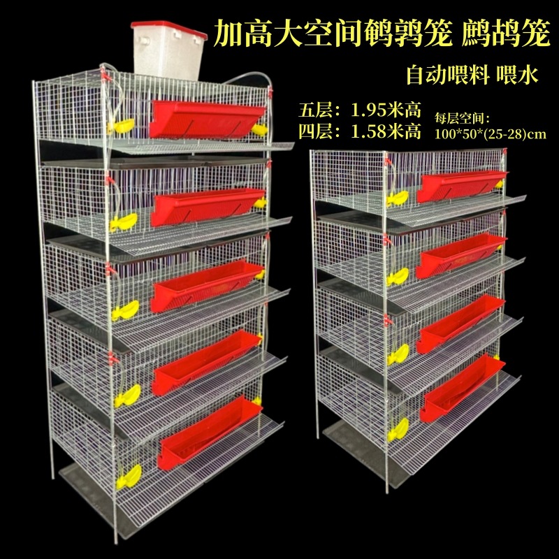 加高鹌鹑笼 可自动清粪立体式鹌鹑笼 加高鹧鸪笼 小型鸟类养殖笼
