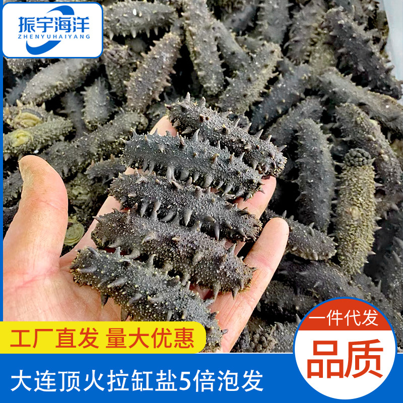 大连盐渍海参 大火拉缸盐500克 盐渍海参半干海参批发-阿里巴巴