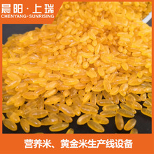 整条玉米黄金米生产线设备 黄金米生产线机器 黄金米全套设备
