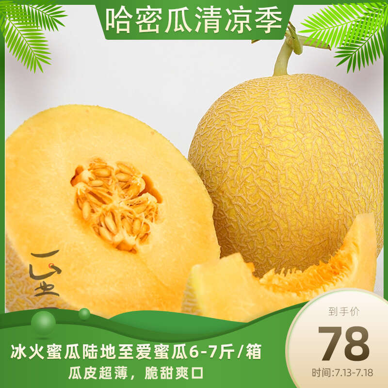 至爱哈密瓜 国货新品种 新疆冰火蜜瓜脆甜2022新鲜水果