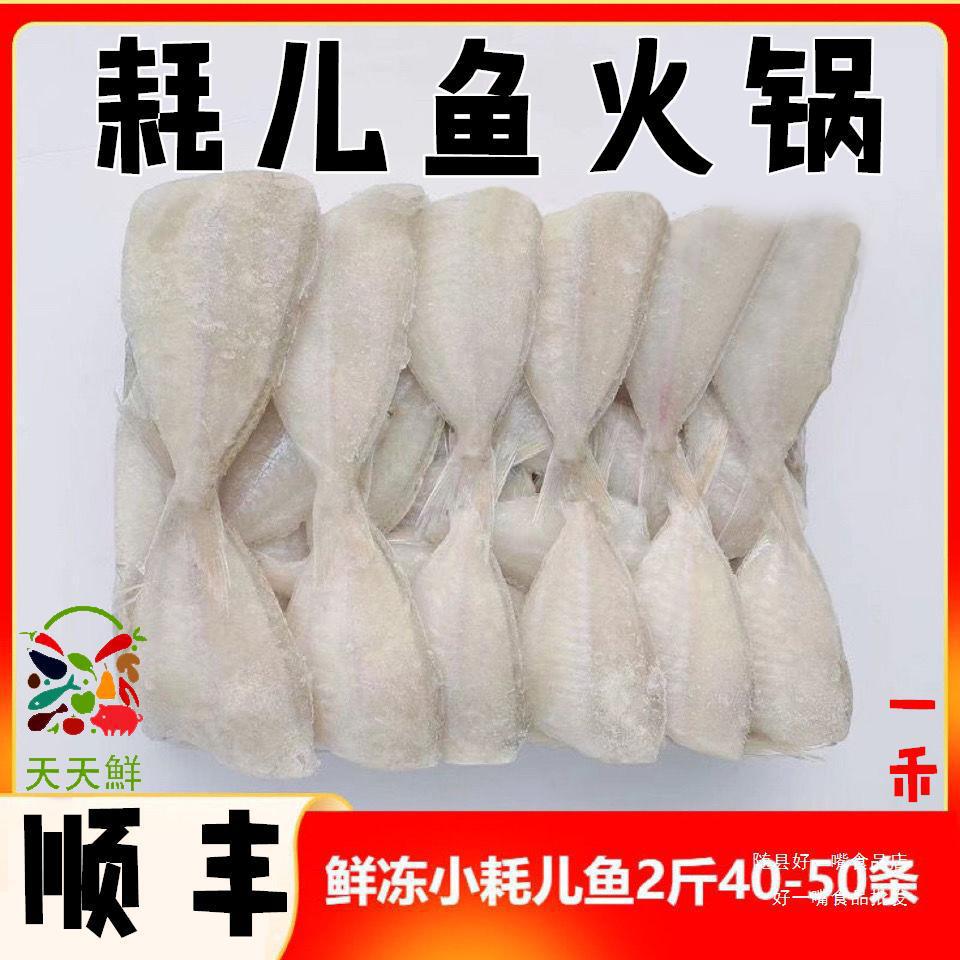 新鲜耗儿鱼剥皮鱼扒皮鱼中号大号冷冻马面鱼鲜冻火锅生鲜食材包邮