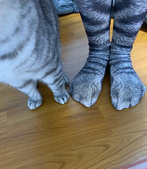 猫咪袜子仿真猫爪袜爪子袜印花长筒袜男女狸猫奇怪厚图案狗爪老鹰
