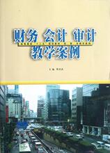 财务会计审计教学案例(经管法教学案例高等教育十二五规划教材)