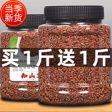 新货红米红糙米红大米1000g罐装五谷杂粮粗粮煲粥农家粮食红香米