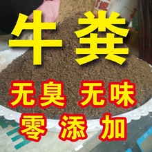 厂家自营干牛粪鸡粪有机肥颗粒批发营养土肥料发酵纯羊粪肥草炭土