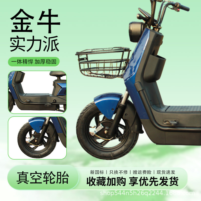 New National Standard Cross-Border Factory Supply New Battery Car Adult Double Electric Bicycle Factory Wholesale