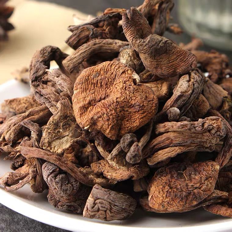 东北野生榛蘑干货小鸡炖蘑菇榛蘑批发长白山土特产榛蘑菇去根包邮