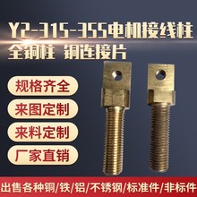 圆形Y2315--355KW圆形接线柱 机电维修螺杆铜螺丝20MM 16MMx95