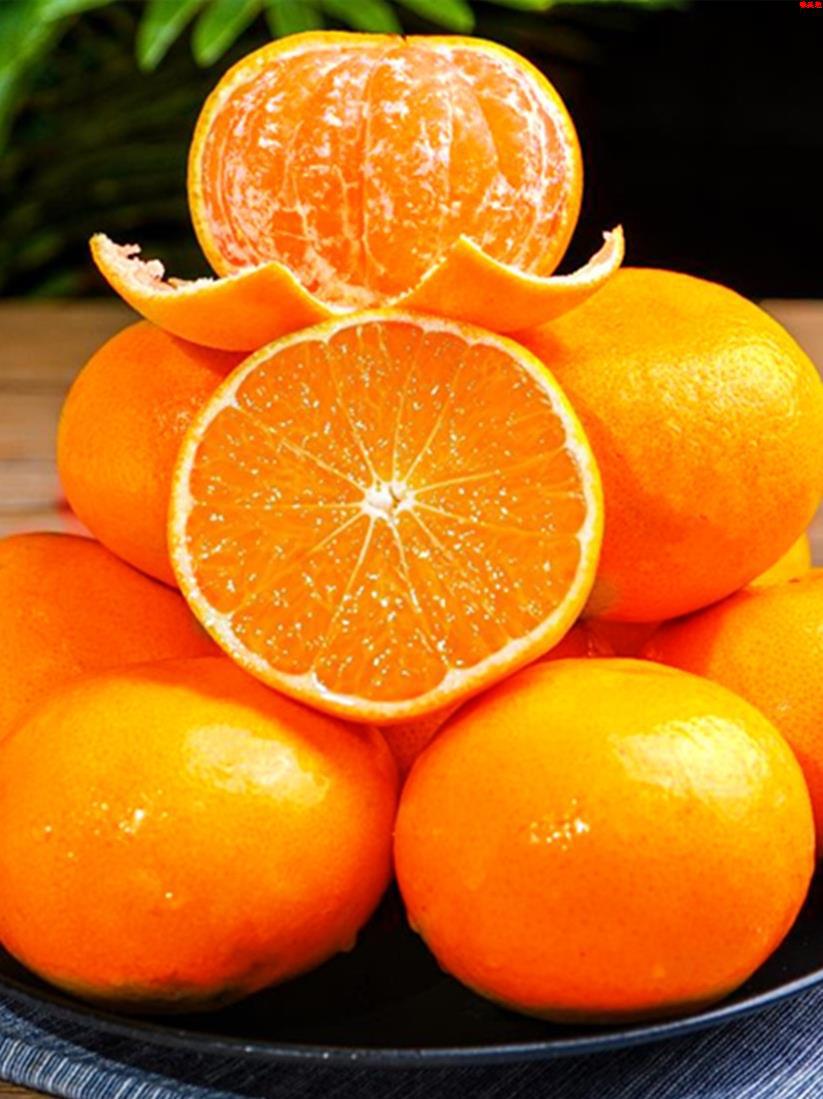 超甜美人冰糖蜜橘桔子新鲜水果当季整箱大果无籽皮薄蜜桔10斤现摘