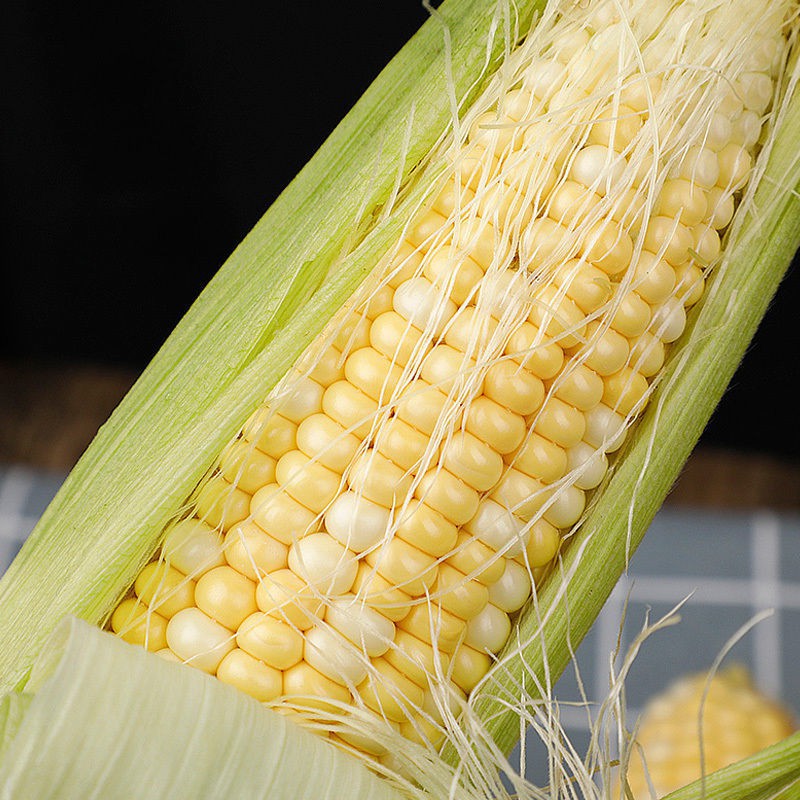云南金银水果玉米新鲜当季现摘生吃甜玉米棒子新鲜蔬菜苞米粒苞谷