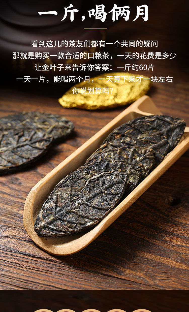 云南普洱茶金叶子勐海茶区古树黄金叶普洱茶生茶新款金叶子500g