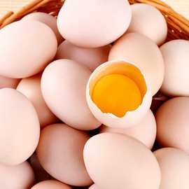 【热销】安徽新徽农黑凤土鸡蛋360枚批发 厂家柴草走地鸡蛋