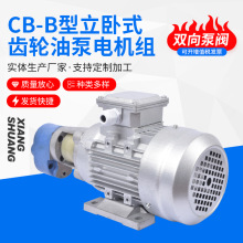 高效齿轮油泵CB-B40/CB-B50/CB-B63齿轮泵/机床润滑泵/液压泵