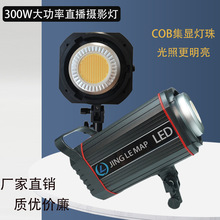 景乐图300W摄影灯摄影棚影室闪光灯补光灯人像服装产品直播拍照