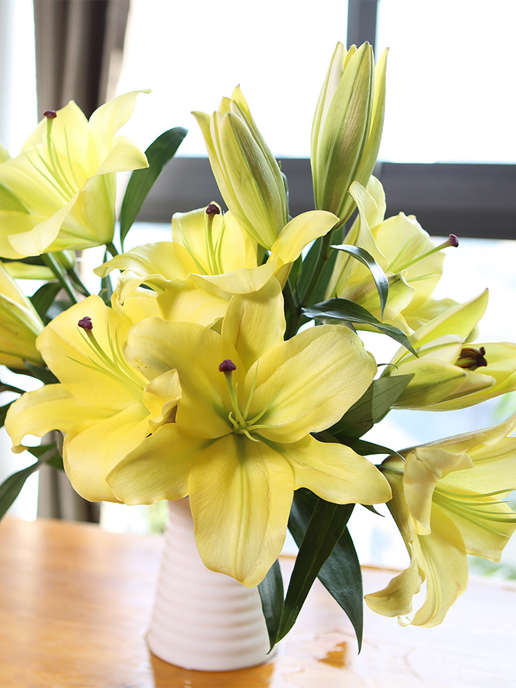 黄天霸香水百合鲜花云南基地直发家用昆明直批直供水养插花包邮