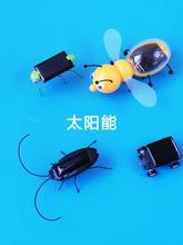太阳能蟑螂新奇昆虫儿童小玩具电子蚂蚱迷你汽车科学小实验套装跨