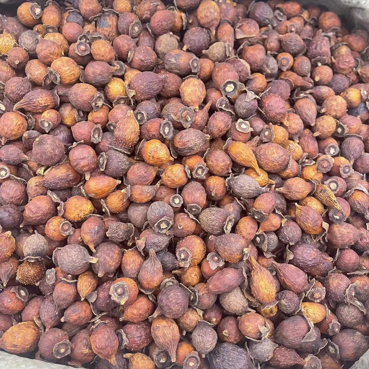 金樱子 中药材批发供应 金樱子