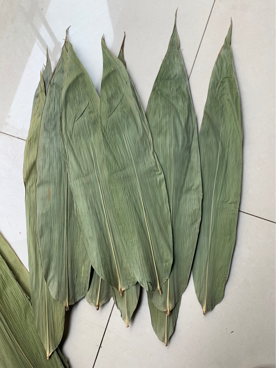 粽叶厂家批发50斤大包装端午节竹叶麻竹叶粑粑叶黄粑叶箬叶廖叶