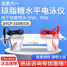 北京六一电泳槽DYCP-31DN实验室琼脂糖核酸凝胶制胶器电泳仪电源