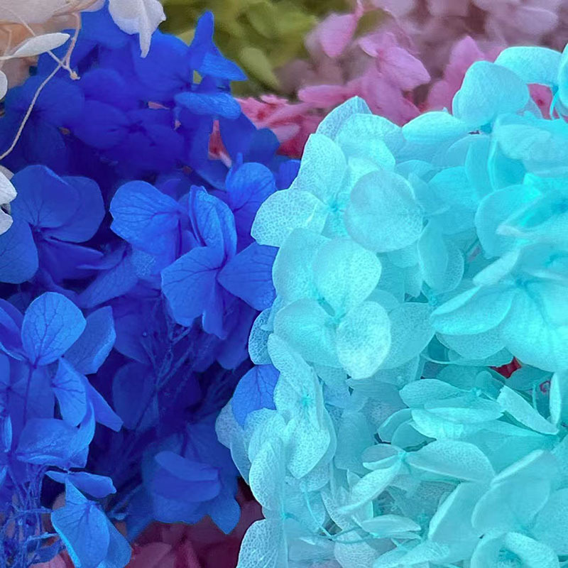 安娜绣球花 永生花DIY材料绣球花瓣按斤批发手工材料装饰礼品干花