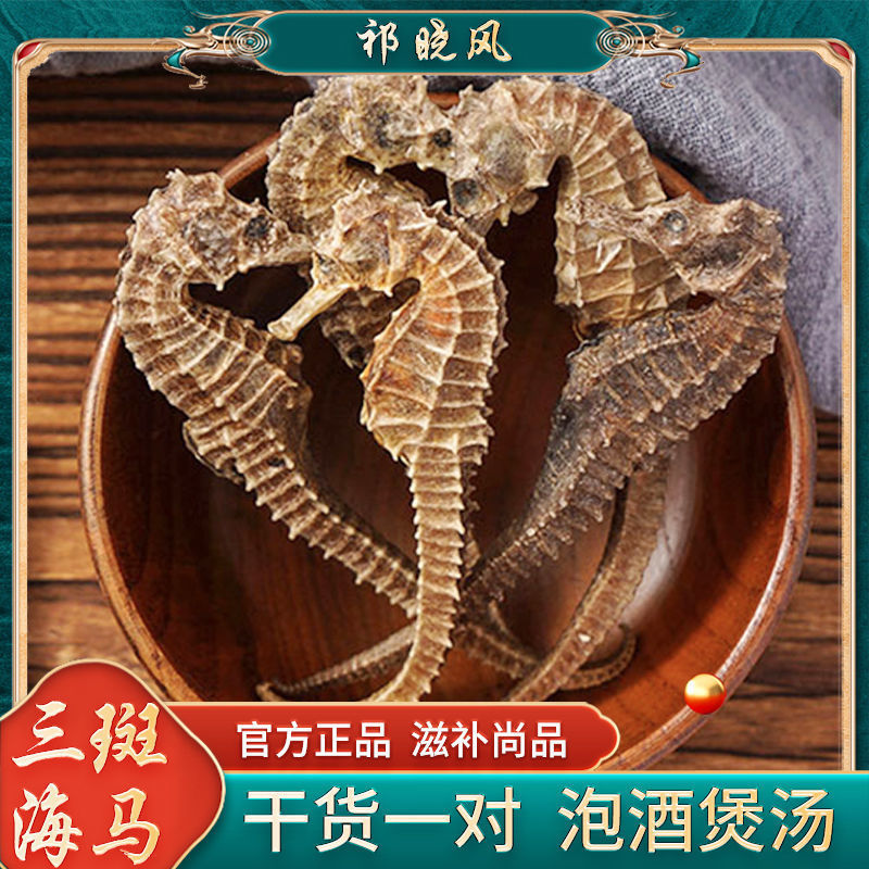 精选正宗三斑海马海龙干货泡酒料煲汤滋补养生材高汤包助高-阿里巴巴
