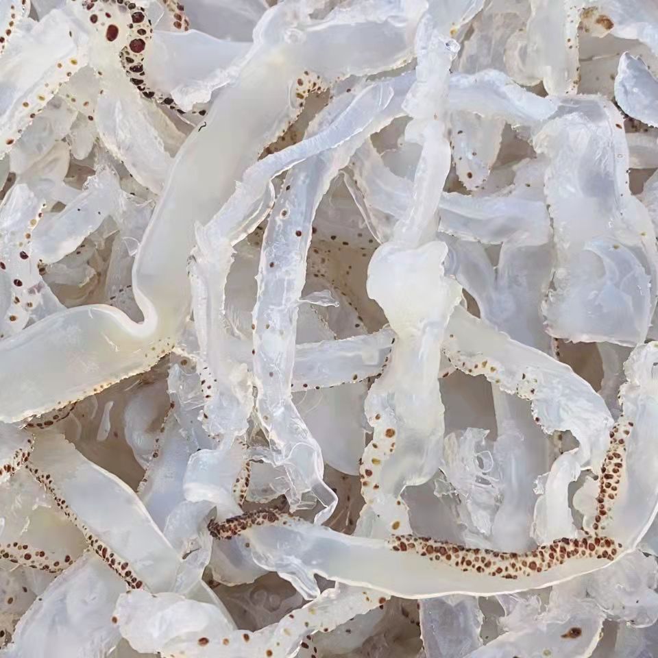 厂家直发 珊瑚花海蜇丝 白花丝 海蜇 脆口珊瑚海蜇丝 爽脆可口
