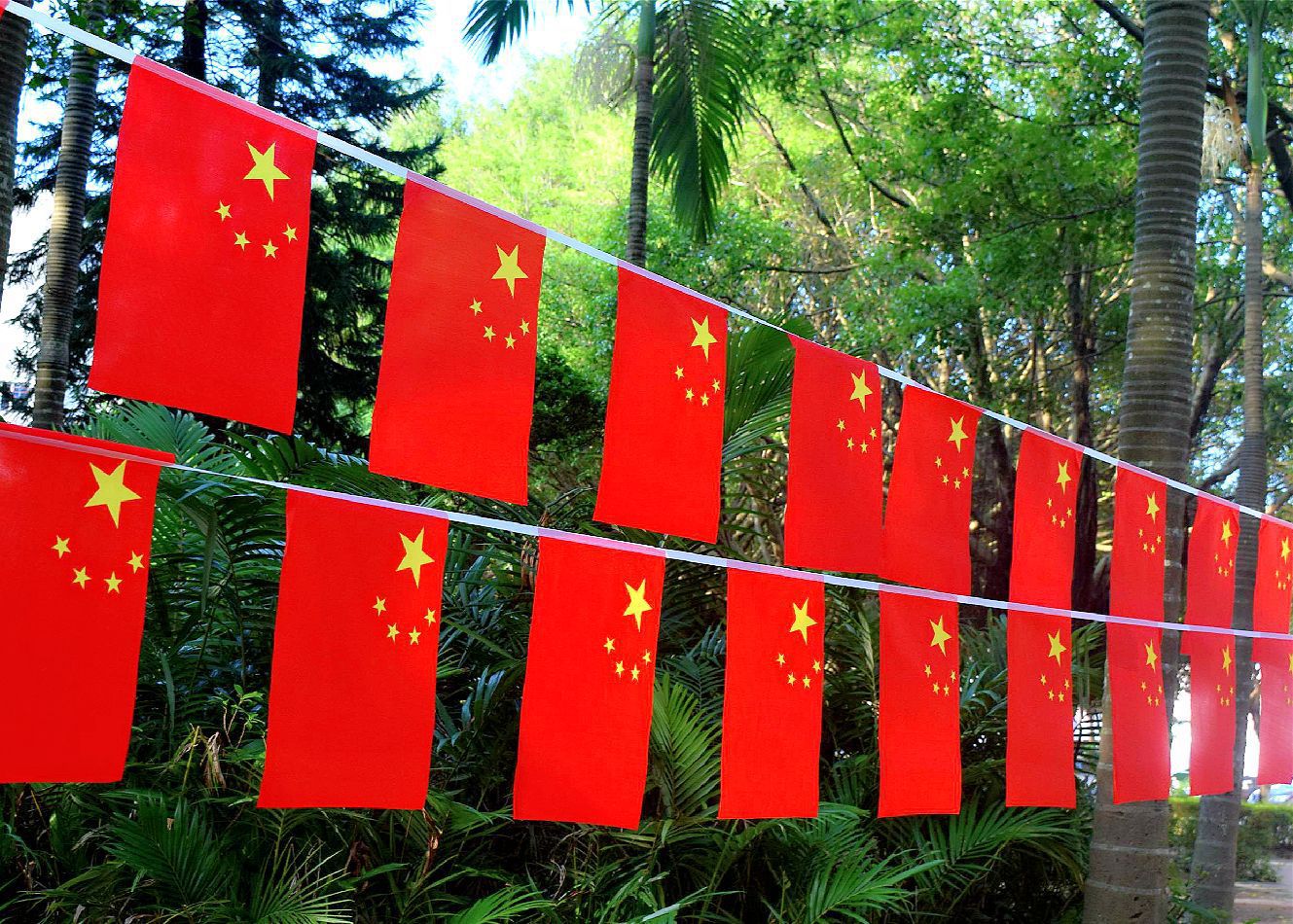 国庆节装饰品20面8号五星红旗串旗 国庆小国旗吊旗礼品 装饰挂旗